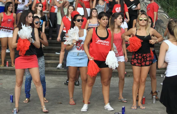 Support group by brazilian football team prepare to the game, Sao Paolo — Stock Photo, Image