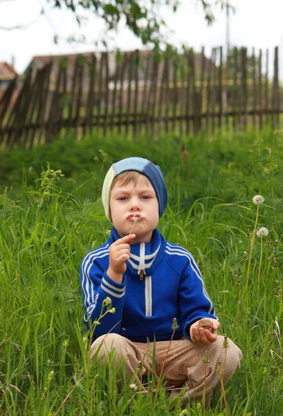 Pojken blåser maskros i sommardag — Stockfoto