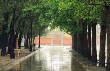 yağmur sonra Pekin park yolu