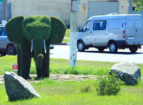 Funny bush in the form of elephant — Stock Photo, Image