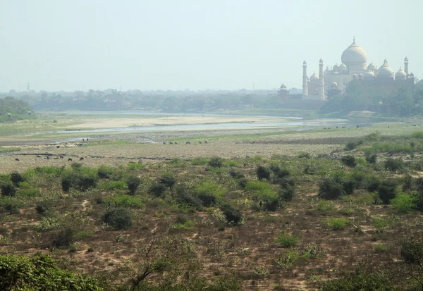 Pohled na Taj Mahal Agra fort — Stock fotografie