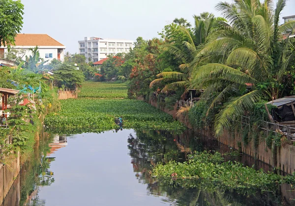 Overgrown water channel in Vientiane — Stock Photo, Image
