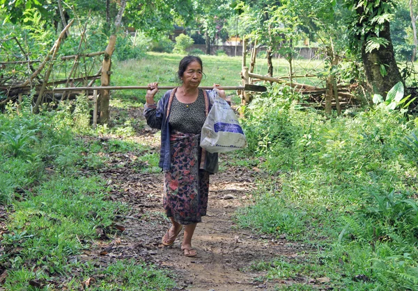 Köylü kadın arazi yetiştirmek için gidiyoruz — Stok fotoğraf