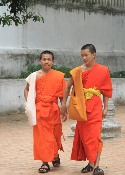 iki buddist keşiş Luang Prabang sokakta yürüyorsun