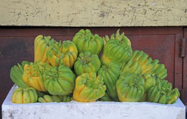 Buda el meyve, parmaklı citron, Citrus medica