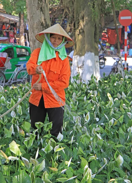 Femme verse des fleurs dans la rue à Hanoi, Vietnam — Photo