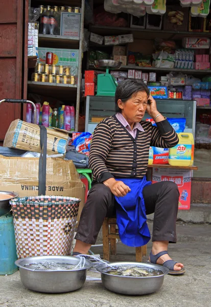 Mulher está vendendo peixe no mercado em Lijiang — Fotografia de Stock