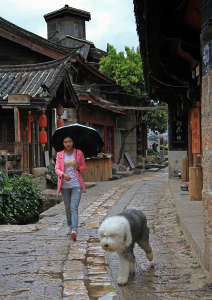 Женщина гуляет с собакой на улице в Лицзяне, Китай — стоковое фото