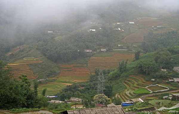 Rice fields nearly Sa Pa town — Stock Photo, Image