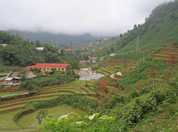 Vue du village CatCat avec terrasses de riz — Photo