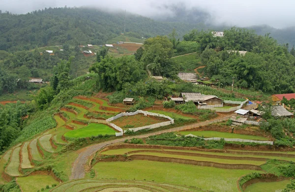 Vue du village CatCat avec terrasses de riz — Photo