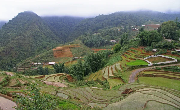 Vue du village CatCat avec terrasses de riz — Photo