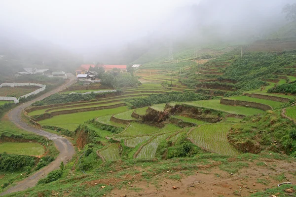 Pemandangan Desa CatCat dengan teras beras — Stok Foto