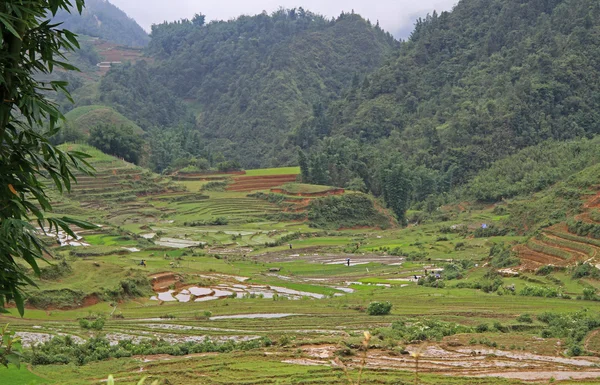 Vista del pueblo CatCat con terrazas de arroz —  Fotos de Stock