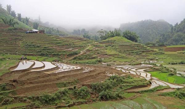 Pemandangan Desa CatCat dengan teras beras — Stok Foto