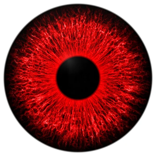 Красные глаза — стоковое фото