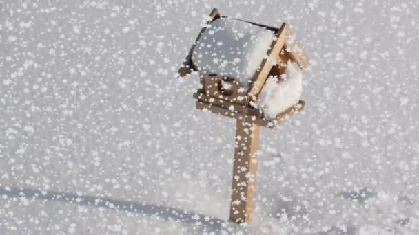 Cachoeira de neve na caixa de pássaros como cenário de inverno — Vídeo de Stock