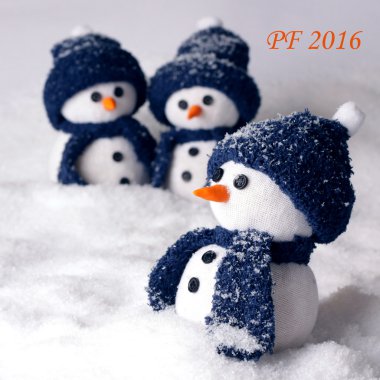 Mutlu yeni yıl pf 2016 