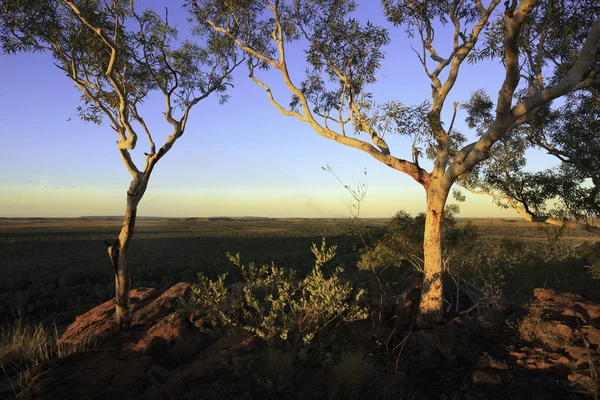 Australische Landschaft — Stockfoto