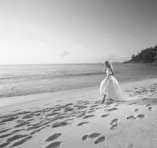 Прекрасна чарівна наречена, що гуляє на пляжі на заході сонця. Сірий колір — стокове фото