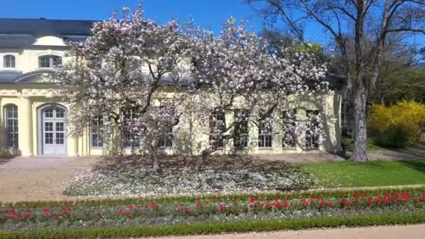 Teahouse of the castle at Altenburg summer spring green — Stock Video