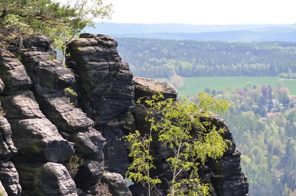 Lilienstein - Sakson İsviçre, Almanya — Stok fotoğraf