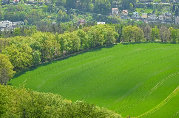 Aerial view meadow green spring fresh tree landscape — Stock Photo, Image