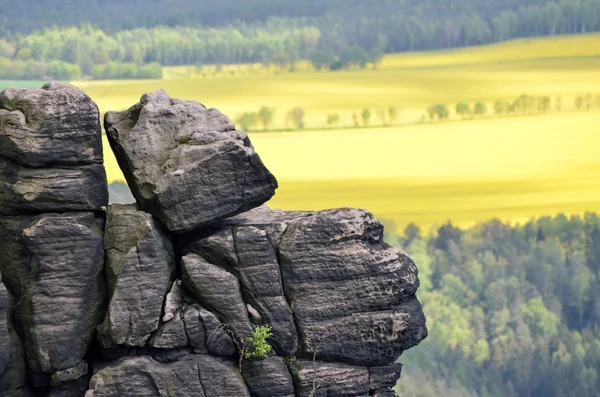 Lilienstein - Sakson İsviçre, Almanya — Stok fotoğraf