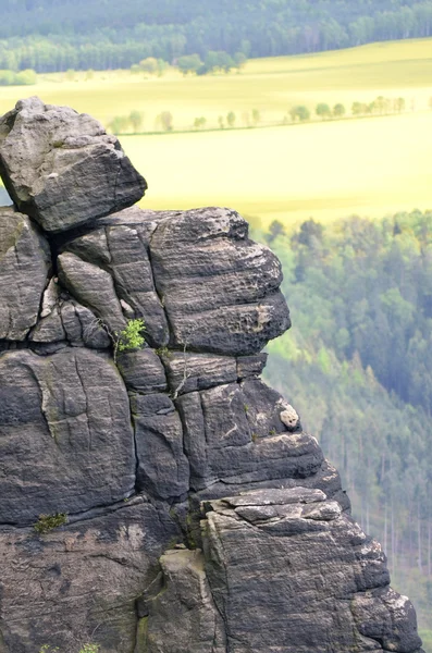 Lilienstein - saxiska Schweiz, Tyskland — Stockfoto