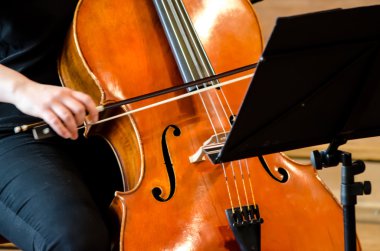 Çello çalan bir kadını detay