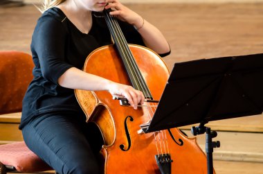 Detail of a woman playing cello clipart