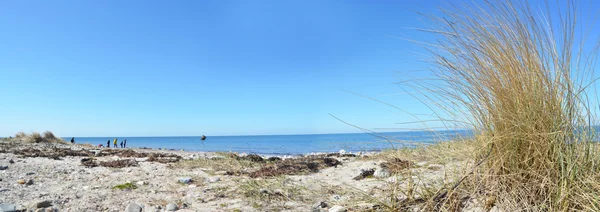 Fehmarn Adası Panorama okyanus