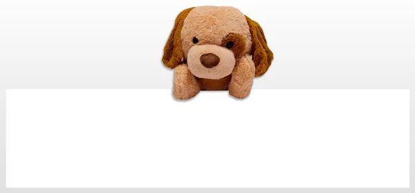 Juguete de perro de peluche — Foto de Stock