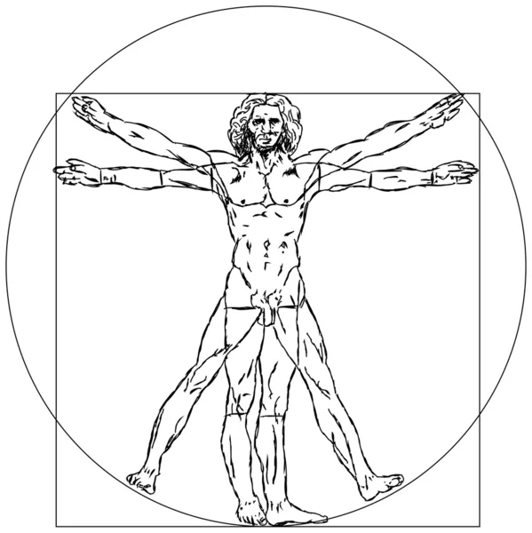 Homme vitruvien - Leonardo da Vinci — Image vectorielle