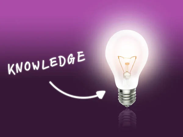 Lampadina della conoscenza Energia Luce rosa — Foto Stock