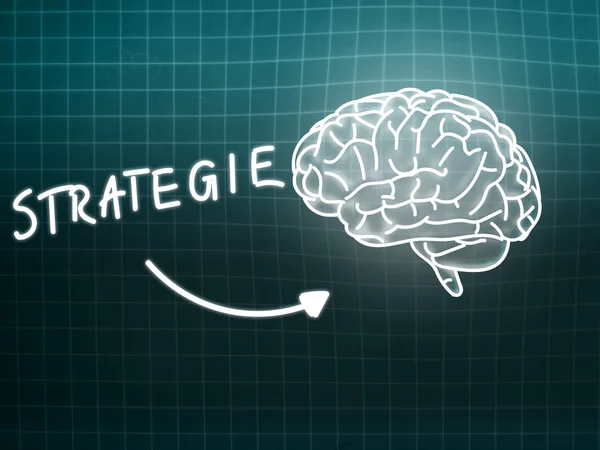 Strategie brain background knowledge science blackboard turquois — Stock Photo, Image