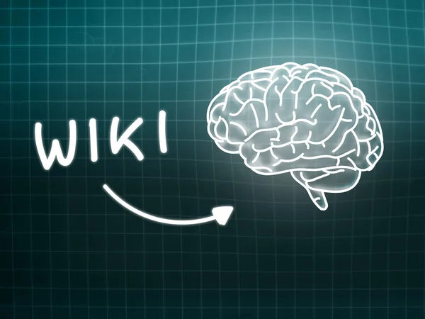 Wiki mózgu tło wiedzy nauki tablica turkus — Zdjęcie stockowe