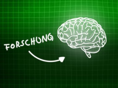 Forschung beyin arka plan bilgi bilim blackboard yeşil