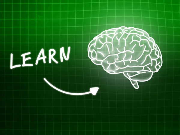 Learn brain background knowledge science blackboard green — Stock Photo, Image