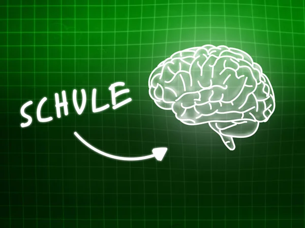 Schule brain hintergrund wissen wissenschaft tafel grün — Stockfoto