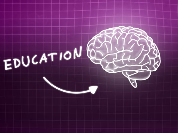 Εκπαίδευση εγκεφάλου υπόβαθρο γνώσεων επιστήμη μαυροπίνακα ροζ — Φωτογραφία Αρχείου