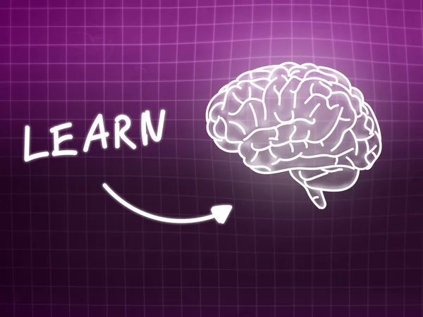 脳背景知識科学黒板ピンクを学ぶ — ストック写真