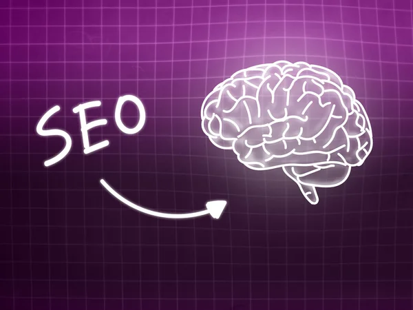 SEO brain background knowledge science blackboard pink — Stock Photo, Image