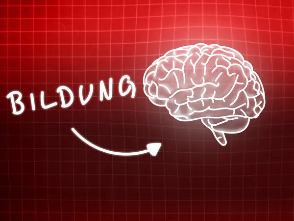 Bildung hersenen achtergrond kennis wetenschap schoolbord rood — Stockfoto