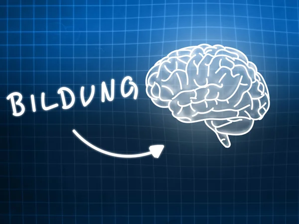 Bildung hersenen achtergrond kennis wetenschap schoolbord blauw — Stockfoto