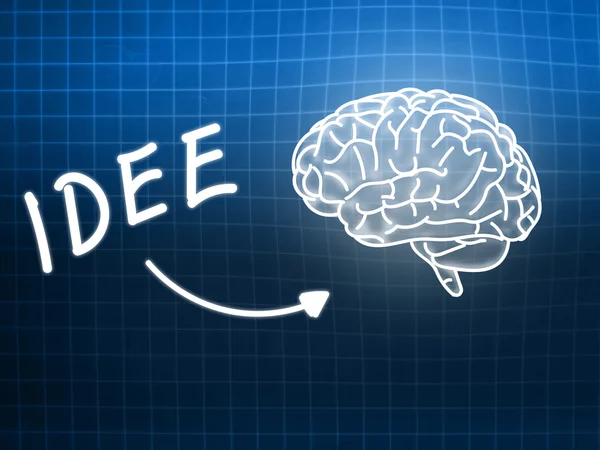 Idee brain background knowledge science blackboard blue — Stock Photo, Image