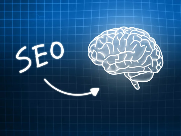 SEO brain background knowledge science blackboard blue — Stock Photo, Image