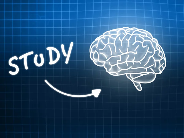 研究大脑背景知识科学黑板蓝色 — 图库照片