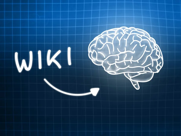 Wiki cerebro fondo conocimiento ciencia pizarra azul — Foto de Stock