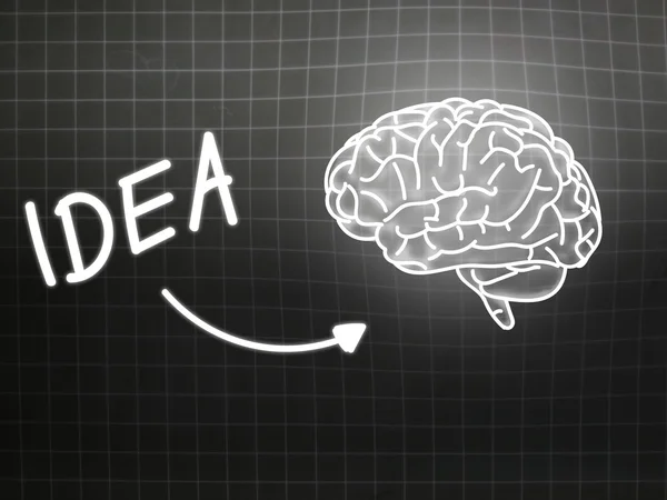 Idea brain background knowledge science blackboard gray — Stock Photo, Image